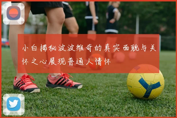 小白揭秘波波维奇的真实面貌与关怀之心展现普通人情怀